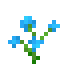 Orchidée bleue