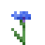 Bleuet