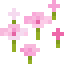 Pétales roses