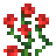 Rosier