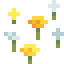 Fleurs sauvages